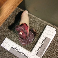 Evidence photo of a severed thumb lying on carpet with a photo scale