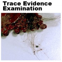 Updated analysis of trace evidence from the scene