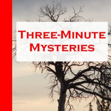 Three-Minute Mysteries by Stephen D. Rogers