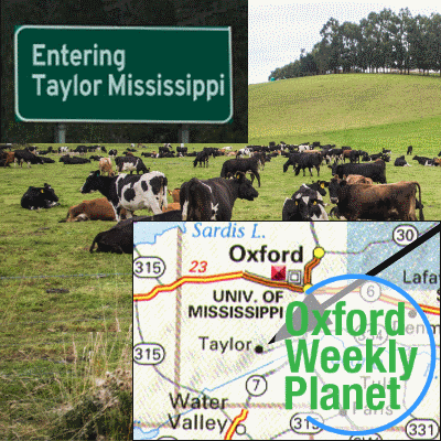 Entering Taylor MS sign and map showing location of Taylor with cows in a pasture in the background and the Oxford Weekly Planet logo in the foreground