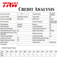 Excerpt of a credit report