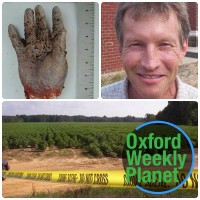 collage with the severed hand in the upper left, Andrew Fine in the upper right, and the cotton field where his body was found across the bottom and the Oxford Weekly Planet logo in the foreground