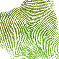 Fingerprint analysis Analysis of fingerprints found at the victim's residence