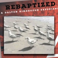 Video still of seagulls on a beach with the title "Rebaptized: A Dalton Kimbrough Experience"