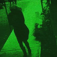 Green-tinted still from a night-vision security video