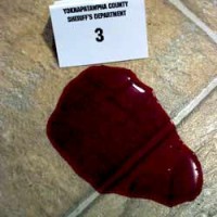 Blood pool with evidence marker