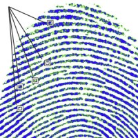 Fingerprint with markers pointing out points of identification