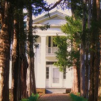 Tree-lined walkway to the front entrance of Rowan Oak