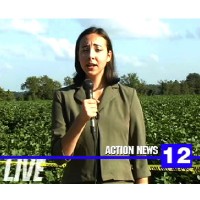 Woman holding a microphone with a cotton field in the background and a news chyron in the foreground