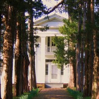 Investigators spoke to the groundskeepers and other employees connected to Rowan Oak at the scene