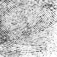 black and white fingerprint