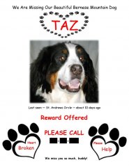 Taz-Wilson-missing.jpg