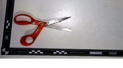 002641-43: One (1) pair of scissors