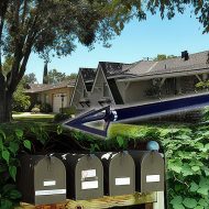 Canvass – Miller neighbors