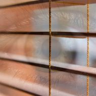 Stillwater Pam Thompson file