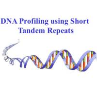 DNA tutorial