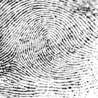 Fingerprint analysis