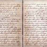 General Shegog's journal