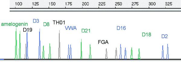 003093-32: Bill Lamar DNA profile