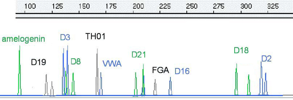 003093-68: Allie Lamar DNA profile