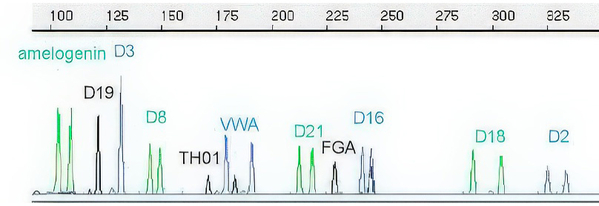 003093-54: Norm Resol DNA profile