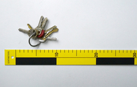 002829-11, One (1) key ring with key