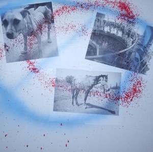 Graffiti spray-painted over photos of abused animals