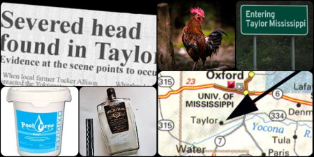 Collage of newspaper headline, chicken, Taylor MS sign, bucket, liquor bottle and map