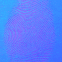Fingerprints and more were recovered from the exterior of the victim's residence Fingerprints and more were recovered from the exterior of the victim's residence