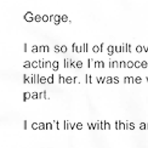 Text excerpt