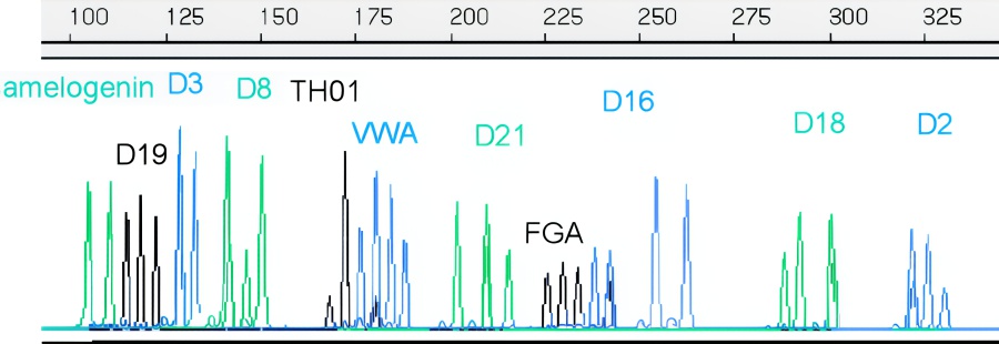 Electropherogram 003502-04-02A
