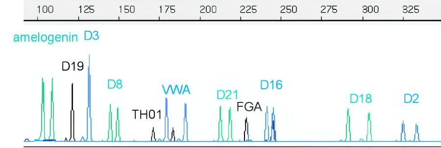 Electropherogram 003502-04-02C