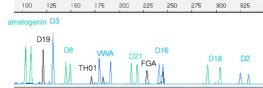 Electropherogram 003502-S02