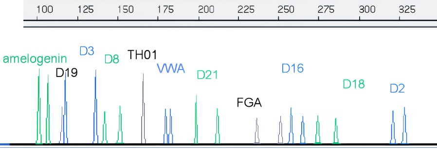 Electropherogram 003502-S07
