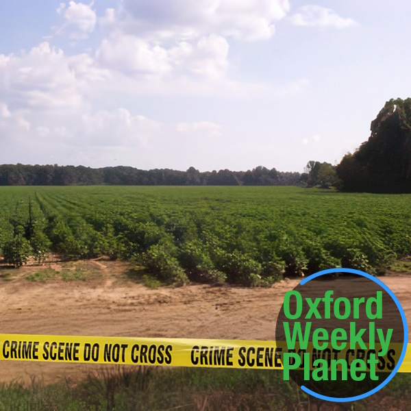 Body found on area farm