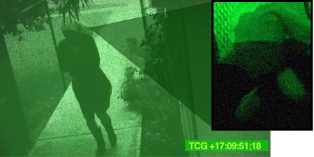 Night vision security video still of a person walking