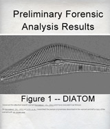 Diatom in forensic analysis results