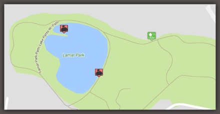 What's going on at the Lamar Park lake?