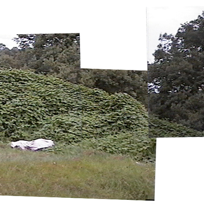 Body scene panorama