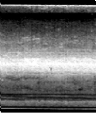 bullet1
