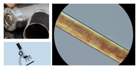 Collage of bullet cartridges, a microscope and a hair viewed under a microscope