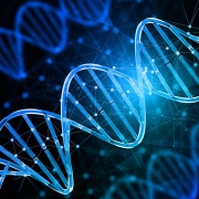 DNA Comparison
