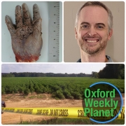Body identified