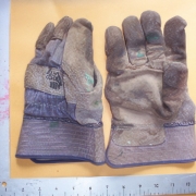 Additional forensics
