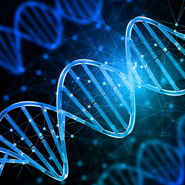 Preliminary DNA analysis