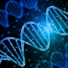 DNA helix on a black background