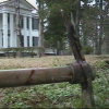 Close-up of a pickaxe with Rowan Oak in the background