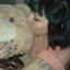 betsy.braddock