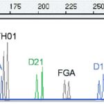 Picture of a graph of DNA