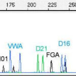 Picture of a graph of DNA